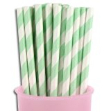 Mint Green Striped Paper Straws Clearance Mint Green Striped Paper Straws Clearance