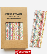 Paper Straws by Paper Box Paper Straws by Paper Box